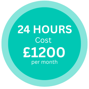 Digital Marketing Support 24 hours per month